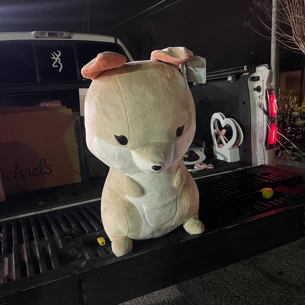 Cute Plush Animal Toy